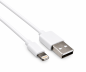 Preview: iPhone/iPad USB Ladeadapter + Lightning Kabel, Car Kit, 12V, 2x USB 5V 3100mA, MFI zertifiziert, weiß, DINIC Box mit Euroloch, 1m
