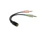 Preview: Y-adapter 4-pins stekkerdoos naar 2x 3-pins stekker, 3,5 mm stekkerdoos/2x 3,5 mm stekkerdoos, zwart, DINIC polyzak, lengte 0,15 m