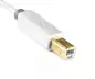 Preview: HQ USB 2.0 kabel A-stekker naar B-stekker, Monaco Range, wit, DINIC doos met Euro gat, lengte 2,00m