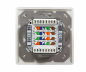 Preview: DINIC Box, Cat.6/5 Netzwerkdose zweifach, RJ45 Buchse universell Unter- u. Aufputz, geschirmt, LSA, weiß, DINIC Box mit Euroloch
