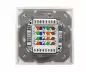 Preview: DINIC Box, Cat.6/5 Netzwerkdose zweifach, RJ45 Buchse universell Unter- u. Aufputz, geschirmt, LSA, weiß, DINIC Box mit Euroloch