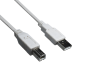 Preview: Cabo DINIC USB 2.0 ficha A para ficha B, 28 AWG / 2C, 26 AWG / 2C, cinzento, saco plástico DINIC, comprimento 3,00m