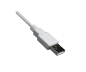 Preview: Cabo DINIC USB 2.0 ficha A para ficha B, 28 AWG / 2C, 26 AWG / 2C, cinzento, saco plástico DINIC, comprimento 3,00m