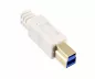 Preview: USB 3.0 cable A plug to B plug, gold-plated contacts, white, 2.00m, plastic bag Preview: USB 3.0 cable A plug to B plug, gold-plated contacts, white, 2.00m, plastic bag