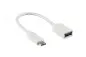 Preview: USB-C Adapter Typ C auf 3.0 A Buchse, OTG-fähig, weiß, 0,20m, DINIC Box