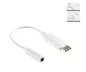 Preview: Adattatore USB-C per audio da 3,5 mm (digitale), con chipset, bianco, scatola DINIC con foro Euro, lunghezza 13,5 cm