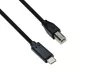 Preview: USB Kabel Typ C auf USB 2.0 B Stecker, schwarz, DINIC Polybag, 2,00m