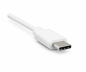 Preview: Cavo USB tipo C a spina USB 2.0 B, bianco, 2,00 m, confezione blister DINIC