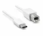 Preview: USB кабел тип C към USB 2.0 B щепсел, бял, полиетиленов плик DINIC, 2,00 м