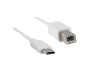 Preview: USB cable type C to USB 2.0 B plug, white, DINIC polybag, 2.00m
