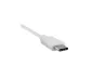 Preview: USB cable type C to USB 2.0 B plug, white, DINIC polybag, 2.00m