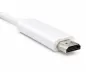 Preview: USB 3.1 kaabli tüüp C pistik HDMI pistik, 4K2K@60Hz, HDCP, HDR, valge, DINIC karp euro auguga, pikkus 1.00m