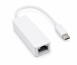 Preview: Adapter USB C Stecker / RJ45 Gbit LAN, 10/100/1000 Mbps mit Auto-Erkennung, weiß, DINIC Box mit Euroloch, Länge 0,20m