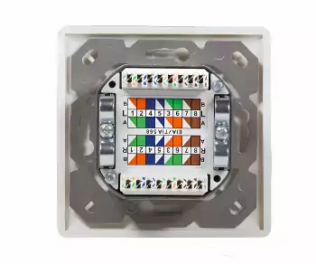 DINIC Box, Cat.6/5 Netzwerkdose zweifach, RJ45 Buchse universell Unter- u. Aufputz, geschirmt, LSA, weiß, DINIC Box mit Euroloch