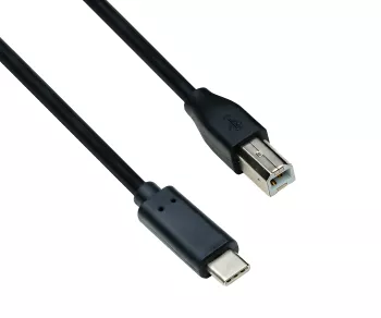 USB Kabel Typ C auf USB 2.0 B Stecker, schwarz, DINIC Polybag, 2,00m