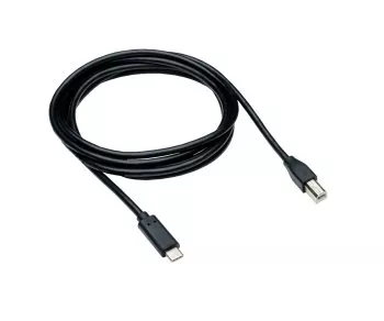 USB Cable Type C male to USB 2.0 Type B male, black, 2,00m
