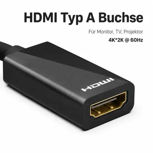Adattatore DisplayPort 1.4 maschio a HDMI tipo A femmina, DP 1.4 a HDMI, 4K*2K@60Hz, 3D, nero, scatola DINIC con foro Euro, 0,10 m