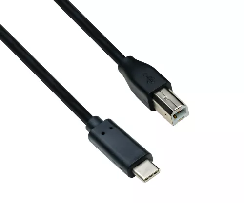 USB Kabel Typ C auf USB 2.0 B Stecker, schwarz, DINIC Polybag, 2,00m
