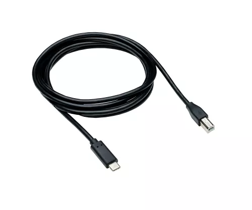 USB Kabel Typ C auf USB 2.0 B Stecker, schwarz, DINIC Polybag, 2,00m