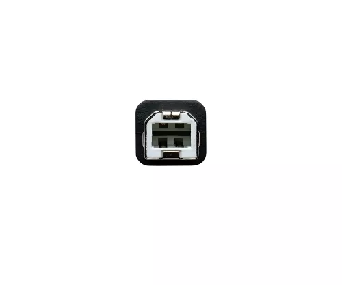 USB Kabel Typ C auf USB 2.0 B Stecker, schwarz, DINIC Polybag, 2,00m