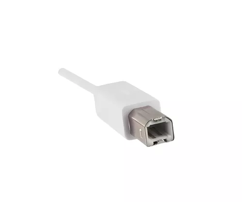USB cable type C to USB 2.0 B plug, white, DINIC polybag, 2.00m
