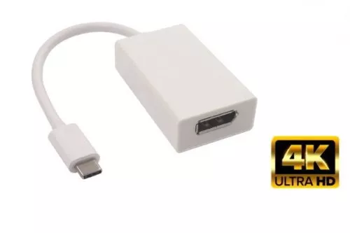 Adapteris USB 3.1 C tipa vīrietis uz DisplayPort sieviete, 4K*2K@60Hz, balts, blistera iepakojums