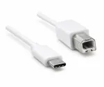 Καλώδιο USB τύπου C σε βύσμα USB 2.0 B, λευκό, πολυσακούλα DINIC, 2,00m